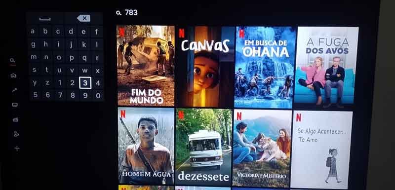 Netflix: veja como encontrar doramas usando os códigos escondidos